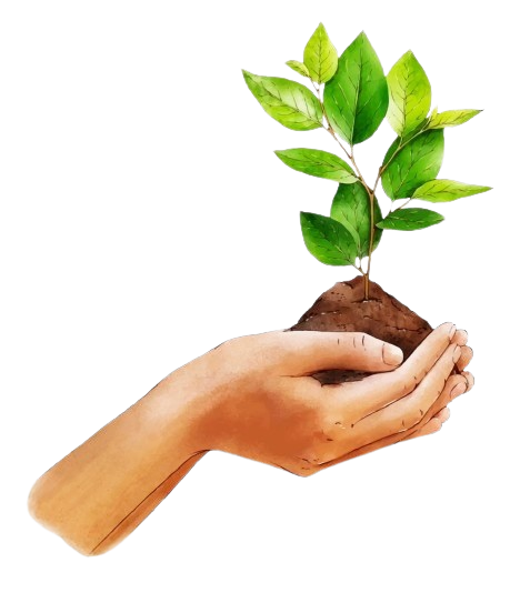 Tree in Hand